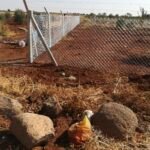 Gaziantep Tel Çit, Tel Çit, Tel Çit Gaziantep, Örgü Teli, Fens Teli Uygulamaları, Jeletli Tel Uygulaması, Boru Direk Uygulamaları, Panel Çit Uygulamaları, Betonarme Çit Direkleri Uygulamaları, Dekoratif Panel Uygulamaları, Dikenli Tel Uygulamaları, Duvar Üstü Çit Uygulamaları, Pvc Tel Uygulamaları, Trapez Sac ile Saha Kapatma Uygulamaları, Dikenli Tel Çit Uygulamaları, Örgü Tel Çit Uygulamaları, Tenis Kortu Çit Sistemleri Uygulamaları, Basketbol Sahası Çit Sistemleri Uygulamaları, Halı Saha Çit Sistemleri Uygulamaları, Mini Futbol Sahası Çit Sistemleri Uygulamaları, Çim Çit Dekor Çim Çit Sistemleri Uygulamaları, Dekora Çit Uygulamaları, Araban Tel Çit Sistemleri, İslahiye Tel Çit Sistemleri, Karkamış Tel Çit Sistemleri, Nizip Tel Çit Sistemleri, Nurdağı Tel Çit Sistemleri, Oğuzeli Tel Çit Sistemleri, Şahinbey Tel Çit Sistemleri, Şehitkamil Tel Çit Sistemleri, Yavuzeli Tel Çit Sistemleri, Kahramanmaraş Tel Çit Sistemleri, Afşin Tel Çit Sistemleri, Andırın Tel Çit Sistemleri, Çağlayancerit Tel Çit Sistemleri, Dulkadiroğlu Tel Çit Sistemleri, Ekinözü Tel Çit Sistemleri, Elbistan Tel Çit Sistemleri, Göksun Tel Çit Sistemleri, Nurhak Tel Çit Sistemleri, Onikişubat Tel Çit Sistemleri, Pazarcık Tel Çit Sistemleri, Türkoğlu Tel Çit Sistemleri, Kilis Tel Çit Sistemleri, Elbeyli Tel Çit Sistemleri, Musabeyli Tel Çit Sistemleri, Polateli Tel Çit Sistemleri, Hatay Tel Çit Sistemleri, İskenderun Tel Çit Sistemleri, Antakya Tel Çit Sistemleri, Dörtyol Tel Çit Sistemleri, Payas Tel Çit Sistemleri