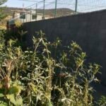 Gaziantep Tel Çit, Tel Çit, Tel Çit Gaziantep, Örgü Teli, Fens Teli Uygulamaları, Jeletli Tel Uygulaması, Boru Direk Uygulamaları, Panel Çit Uygulamaları, Betonarme Çit Direkleri Uygulamaları, Dekoratif Panel Uygulamaları, Dikenli Tel Uygulamaları, Duvar Üstü Çit Uygulamaları, Pvc Tel Uygulamaları, Trapez Sac ile Saha Kapatma Uygulamaları, Dikenli Tel Çit Uygulamaları, Örgü Tel Çit Uygulamaları, Tenis Kortu Çit Sistemleri Uygulamaları, Basketbol Sahası Çit Sistemleri Uygulamaları, Halı Saha Çit Sistemleri Uygulamaları, Mini Futbol Sahası Çit Sistemleri Uygulamaları, Çim Çit Dekor Çim Çit Sistemleri Uygulamaları, Dekora Çit Uygulamaları, Araban Tel Çit Sistemleri, İslahiye Tel Çit Sistemleri, Karkamış Tel Çit Sistemleri, Nizip Tel Çit Sistemleri, Nurdağı Tel Çit Sistemleri, Oğuzeli Tel Çit Sistemleri, Şahinbey Tel Çit Sistemleri, Şehitkamil Tel Çit Sistemleri, Yavuzeli Tel Çit Sistemleri, Kahramanmaraş Tel Çit Sistemleri, Afşin Tel Çit Sistemleri, Andırın Tel Çit Sistemleri, Çağlayancerit Tel Çit Sistemleri, Dulkadiroğlu Tel Çit Sistemleri, Ekinözü Tel Çit Sistemleri, Elbistan Tel Çit Sistemleri, Göksun Tel Çit Sistemleri, Nurhak Tel Çit Sistemleri, Onikişubat Tel Çit Sistemleri, Pazarcık Tel Çit Sistemleri, Türkoğlu Tel Çit Sistemleri, Kilis Tel Çit Sistemleri, Elbeyli Tel Çit Sistemleri, Musabeyli Tel Çit Sistemleri, Polateli Tel Çit Sistemleri, Hatay Tel Çit Sistemleri, İskenderun Tel Çit Sistemleri, Antakya Tel Çit Sistemleri, Dörtyol Tel Çit Sistemleri, Payas Tel Çit Sistemleri