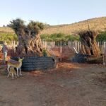 gaziantep tel cit sistemleri 110