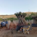 gaziantep tel cit sistemleri 123